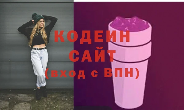индика Осташков