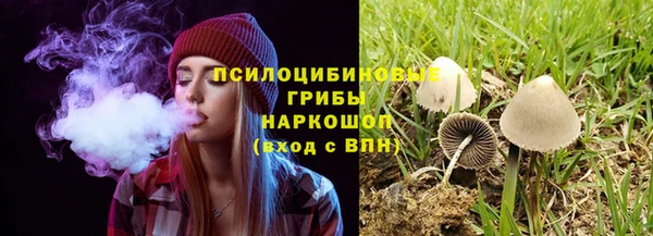 синтетический гашиш Переславль-Залесский