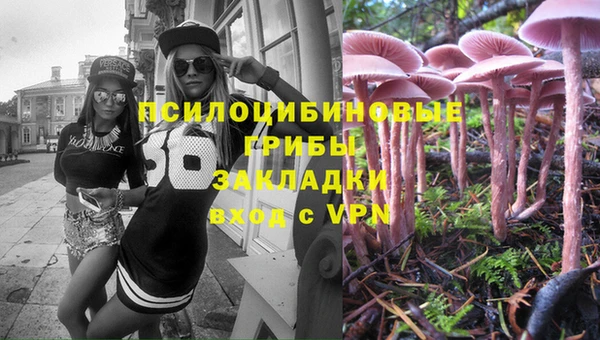 мдпв Пересвет