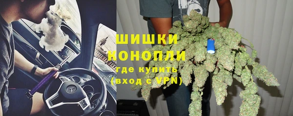 мдпв Пересвет