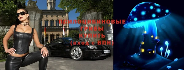 мдпв Пересвет