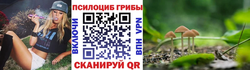 Псилоцибиновые грибы мицелий  omg ссылки  Ладушкин 
