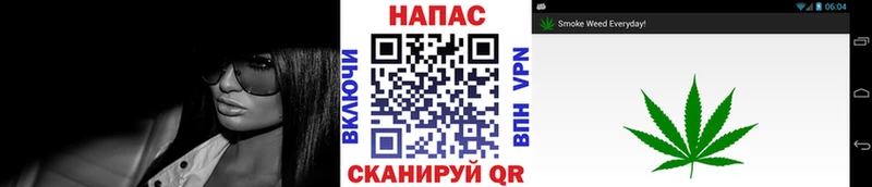 Конопля OG Kush Ладушкин